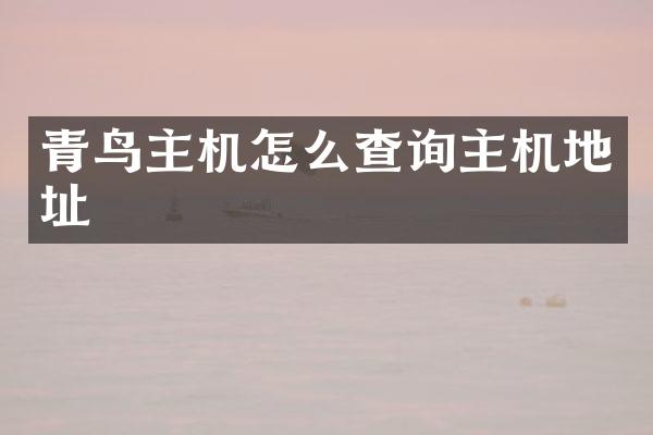 青鸟主机怎么查询主机地址