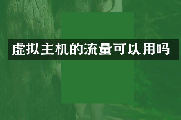 虚拟主机的流量可以用吗