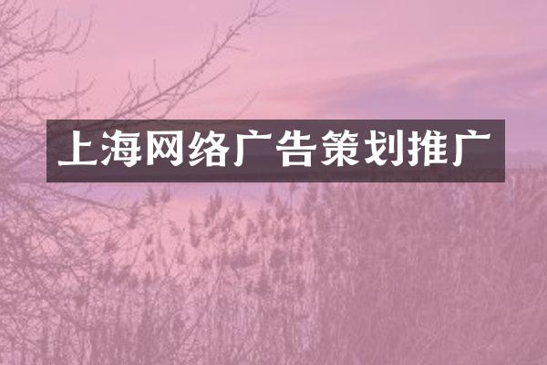 上海网络广告策划推广