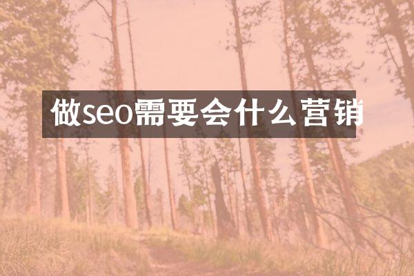 做seo需要会什么营销
