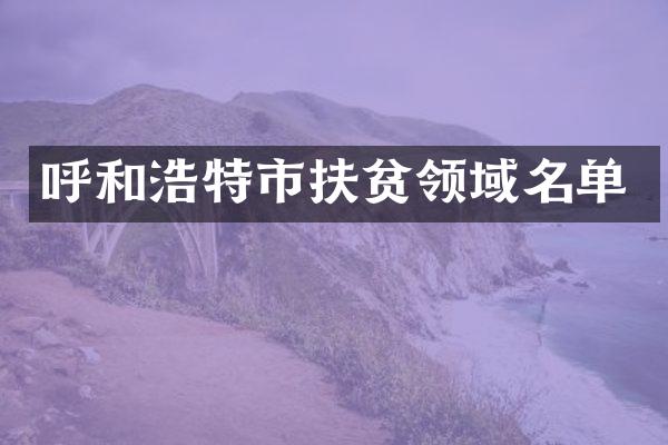 呼和浩特市扶贫领域名单