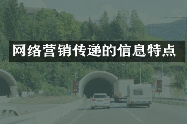 网络营销传递的信息特点