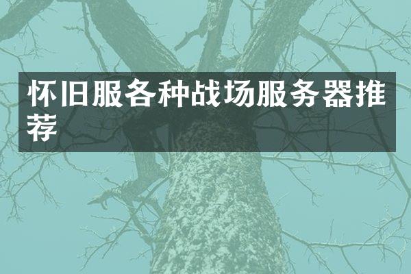怀旧服各种战场服务器推荐