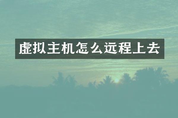 虚拟主机怎么远程上去