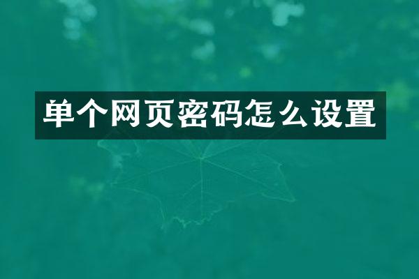 单个网页密码怎么设置