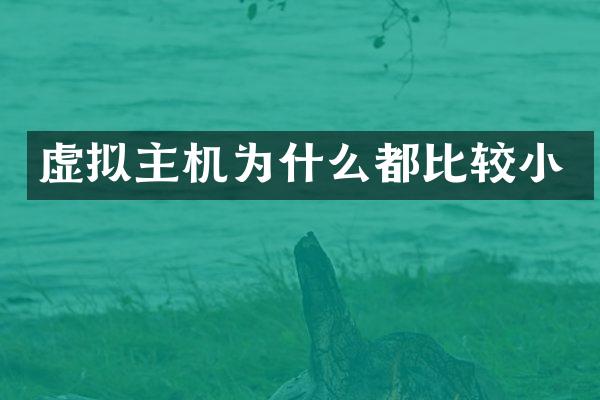 虚拟主机为什么都比较小