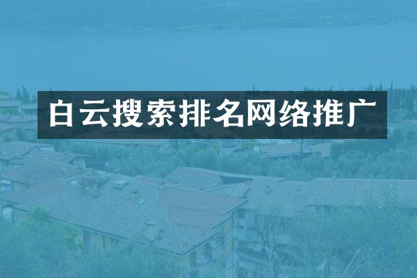 白云搜索排名网络推广