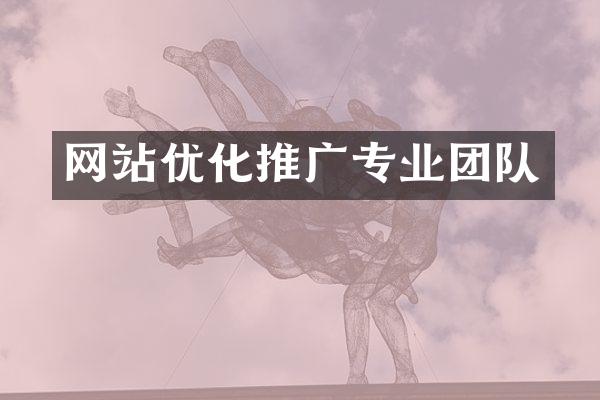 网站优化推广专业团队
