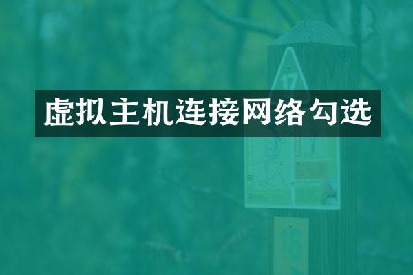 虚拟主机连接网络勾选