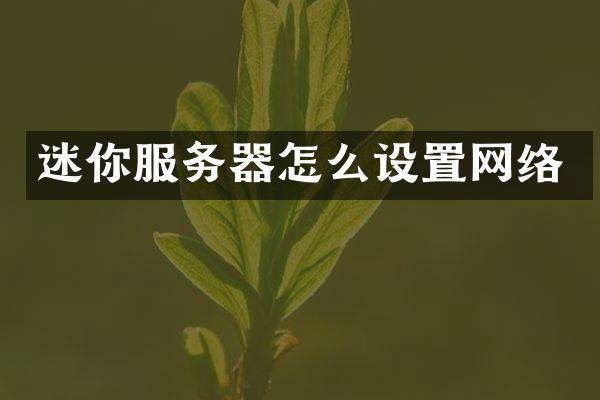 迷你服务器怎么设置网络