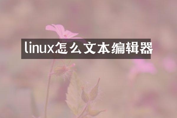 linux怎么文本编辑器
