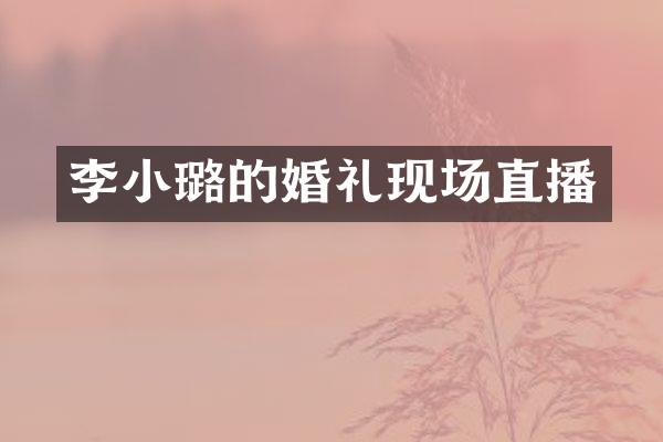 李小璐的婚礼现场直播