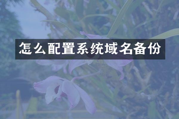 怎么配置系统域名备份