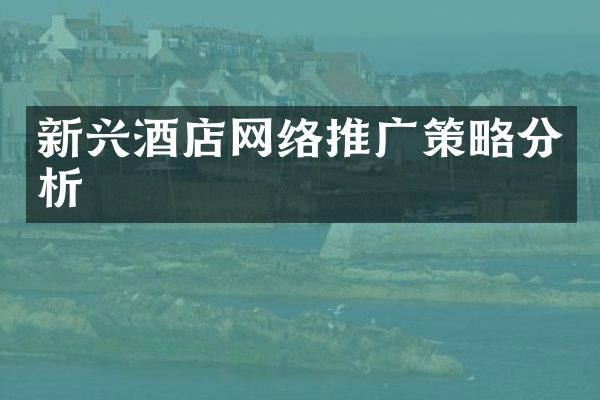 新兴酒店网络推广策略分析