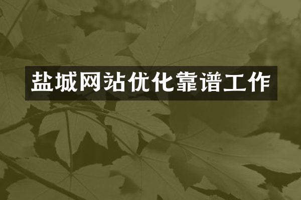 盐城网站优化靠谱工作