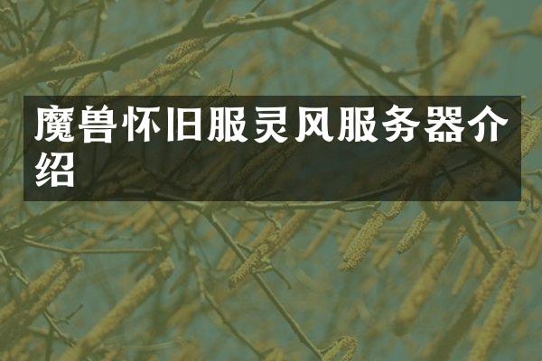 魔兽怀旧服灵风服务器介绍
