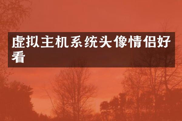 虚拟主机系统头像情侣好看