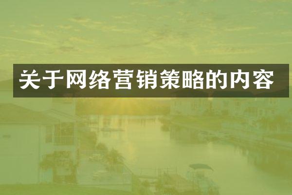关于网络营销策略的内容