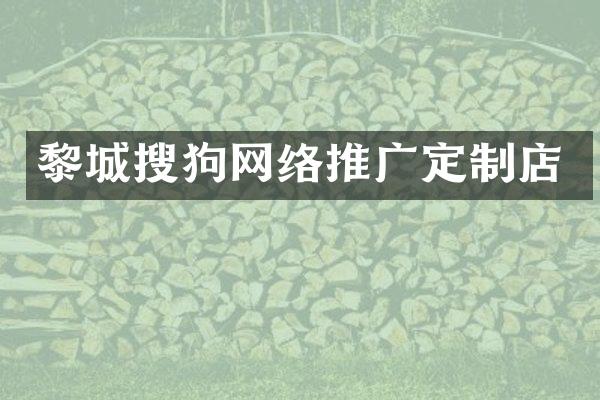 黎城搜狗网络推广定制店