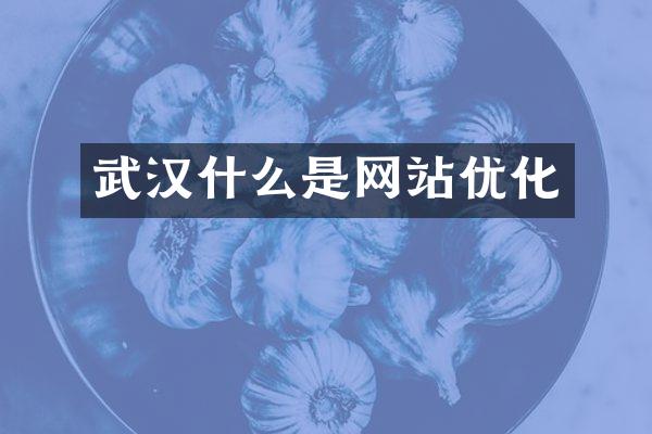 武汉什么是网站优化