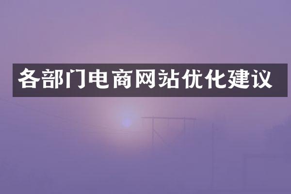 各部门电商网站优化建议