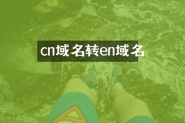 cn域名转en域名