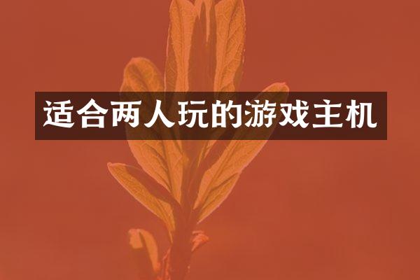 适合两人玩的游戏主机
