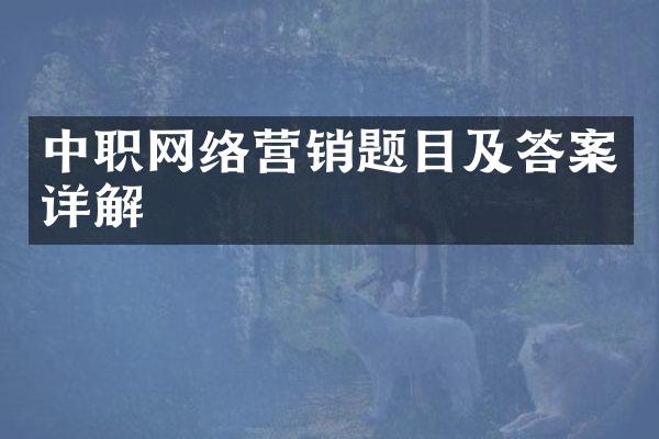 中职网络营销题目及答案详解
