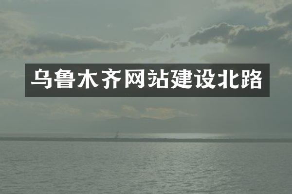 乌鲁木齐网站建设北路