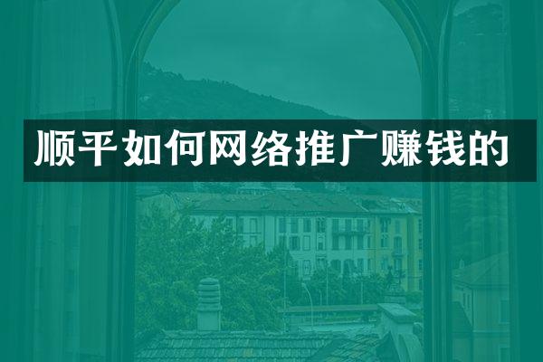 顺平如何网络推广赚钱的
