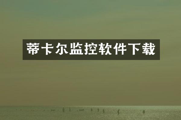 蒂卡尔监控软件下载