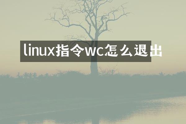 linux指令wc怎么退出