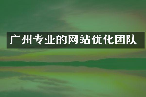 广州专业的网站优化团队