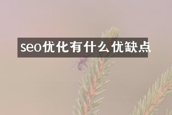 seo优化有什么优缺点