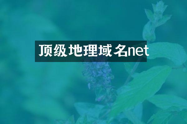 顶级地理域名net
