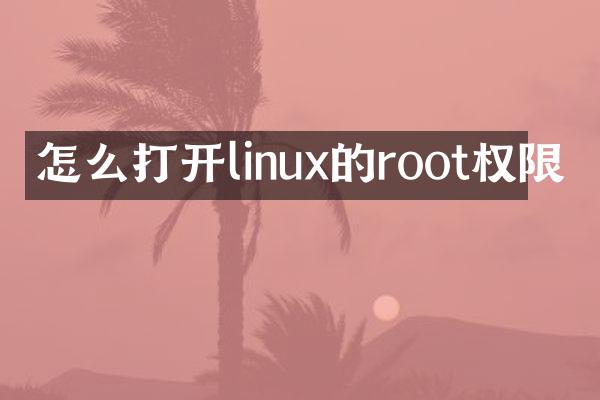 怎么打开linux的root权限