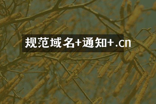 规范域名+通知+.cn