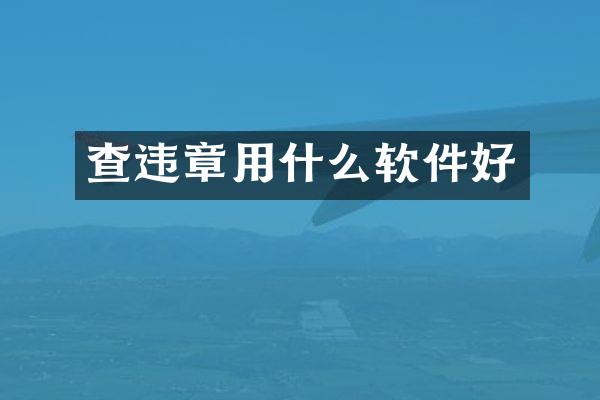 查违章用什么软件好
