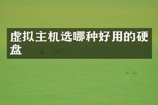 虚拟主机选哪种好用的硬盘