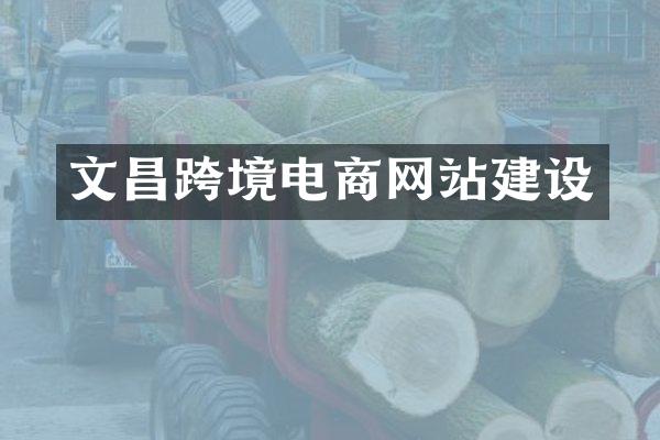 文昌跨境电商网站建设
