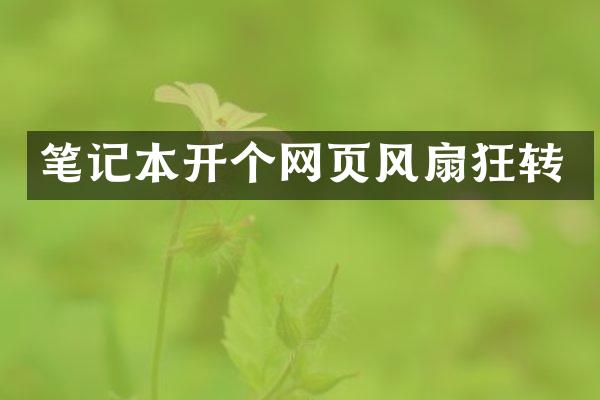 笔记本开个网页风扇狂转