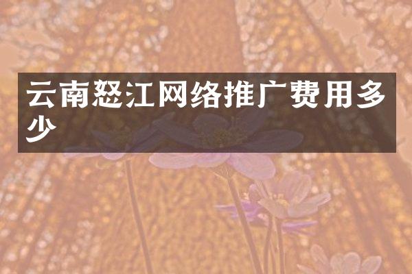 云南怒江网络推广费用多少