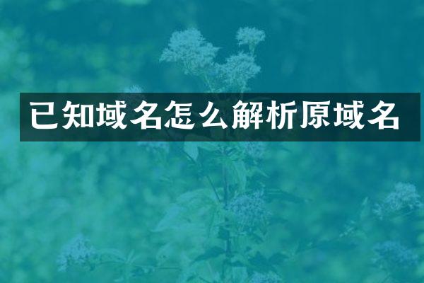 已知域名怎么解析原域名
