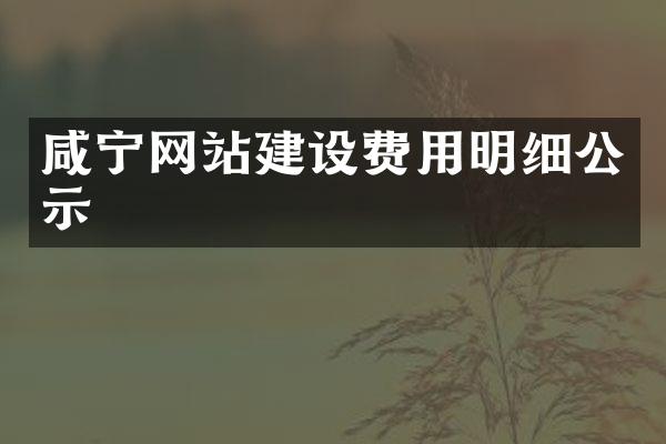 咸宁网站建设费用明细公示