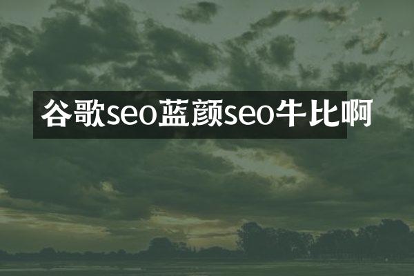谷歌seo蓝颜seo牛比啊