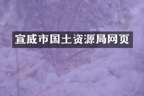 宣威市国土资源局网页