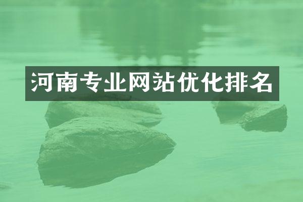 河南专业网站优化排名