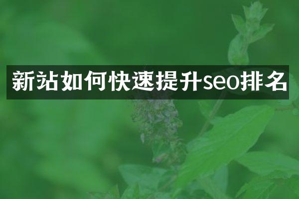 新站如何快速提升seo排名