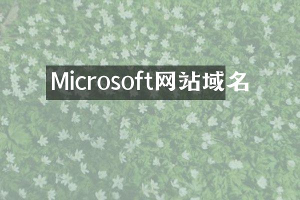 Microsoft网站域名