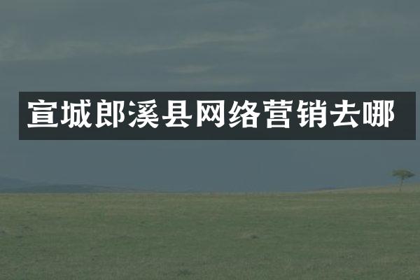 宣城郎溪县网络营销去哪